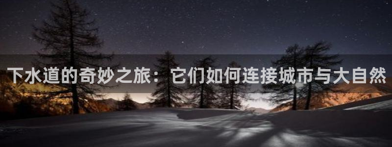 哈尔滨天辰娱乐