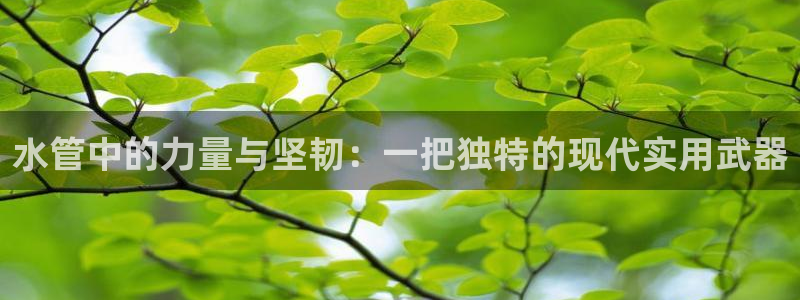 天辰娱乐 . 鱼刺