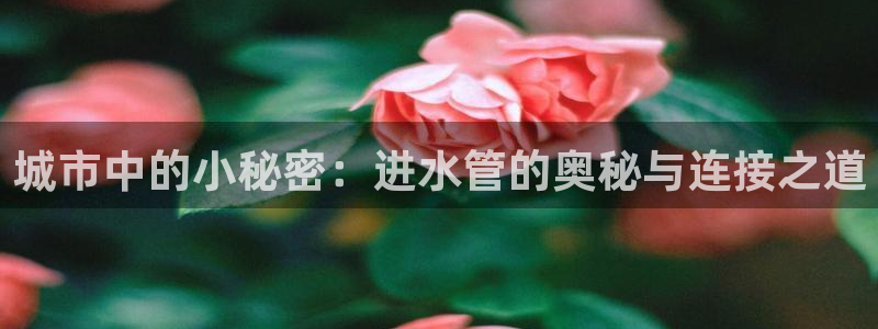 天辰娱乐入口