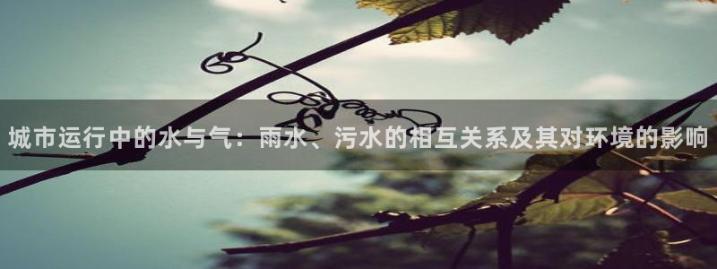 天辰娱乐官