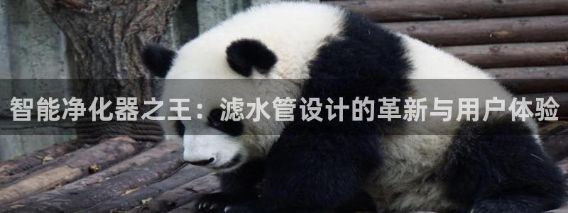 天辰娱乐675138