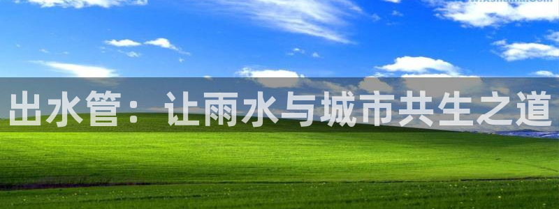 天辰娱乐小姐