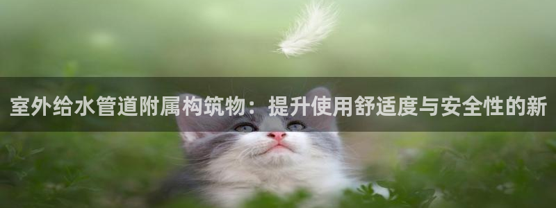天辰娱乐反水