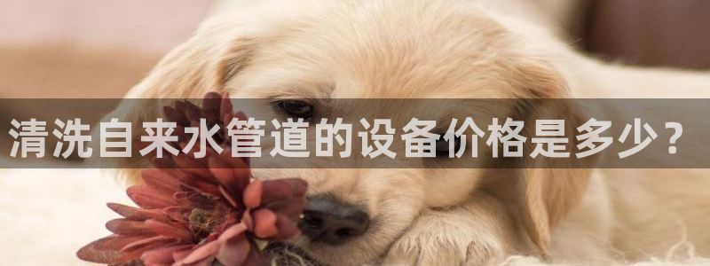 南京天辰娱乐