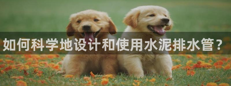 天辰娱乐集团