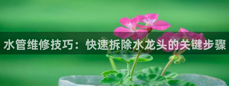 天辰娱乐首选