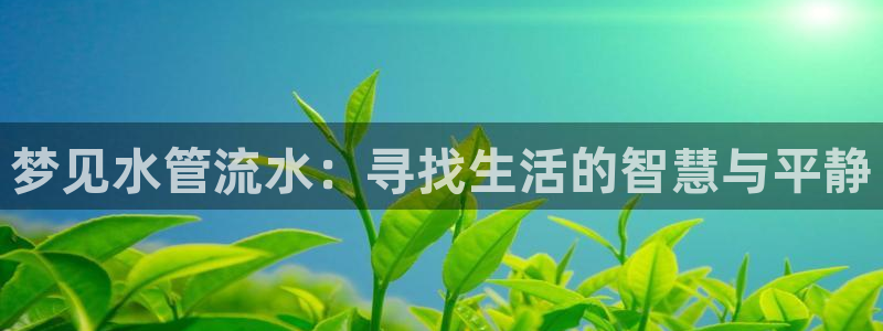 天辰娱乐75775