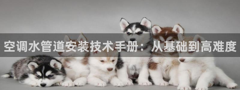 天辰娱乐557448