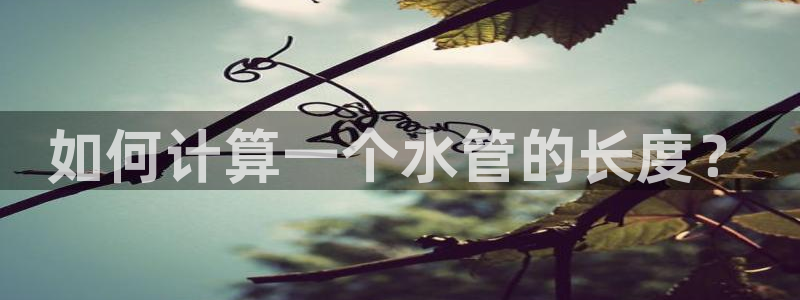 天辰娱乐总管年薪
