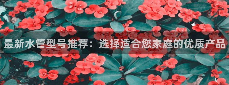 天辰天富娱乐