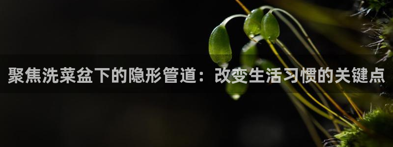 天辰娱乐7天22650