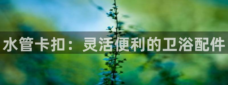 天辰娱乐app