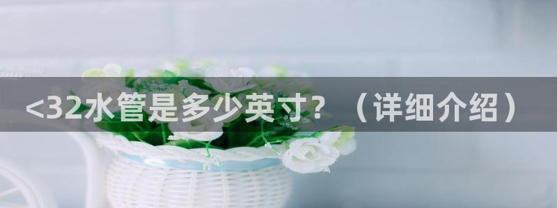 天辰娱乐 注册