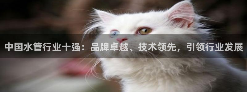 天辰娱乐集团