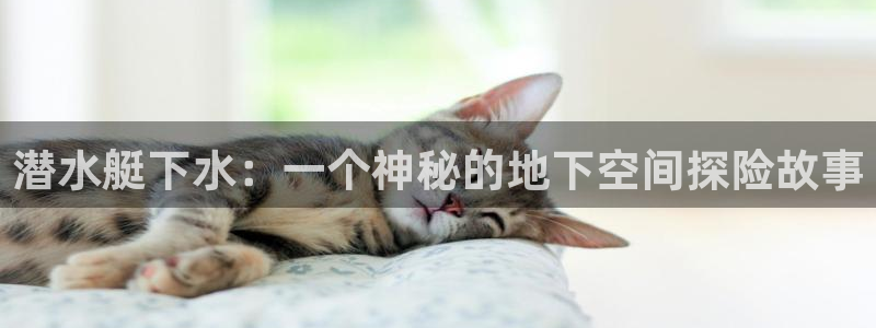 天辰团队贝高娱乐