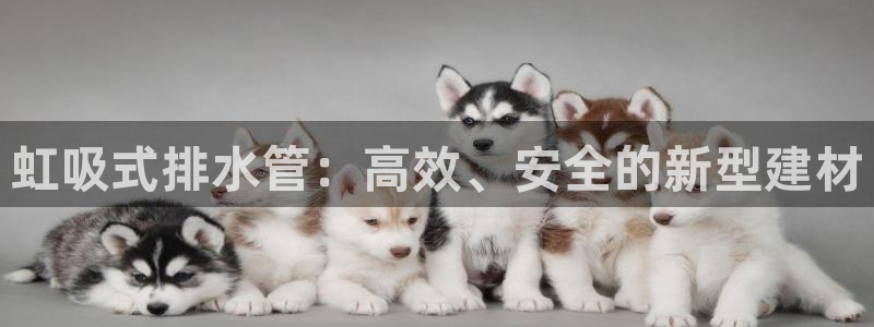 天辰娱乐 39974