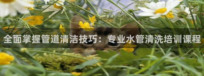 天辰娱乐注册登录