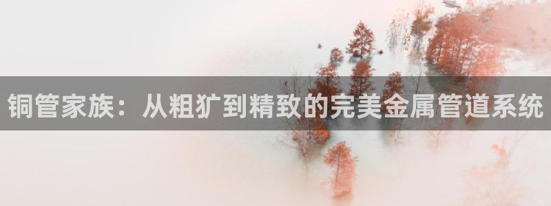 天辰娱乐 231639
