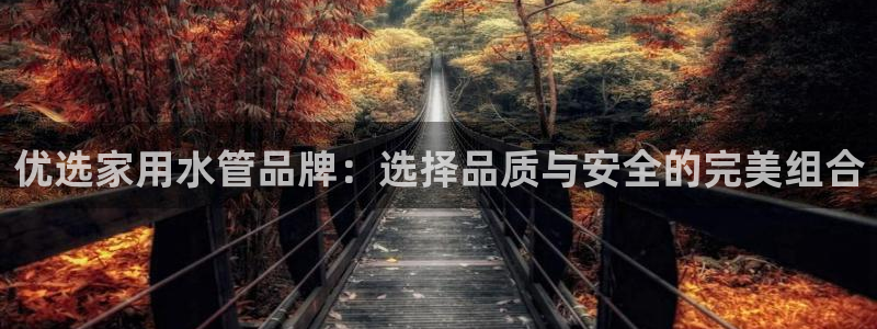 天辰彩票娱乐