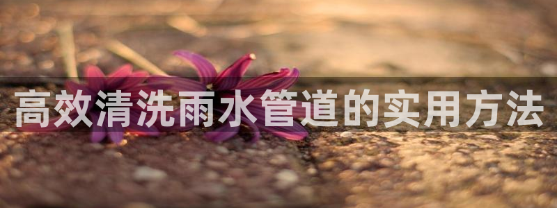 天富娱乐天辰娱乐