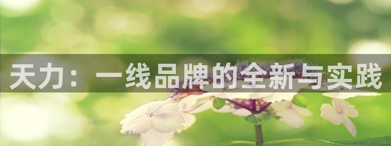 天辰宝宝娱乐