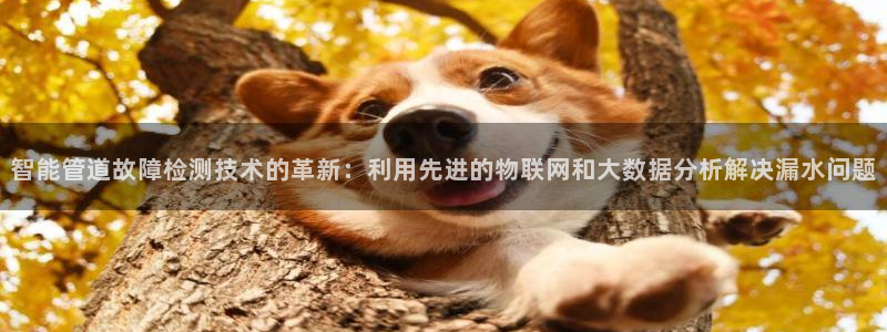 天辰天富娱乐登录