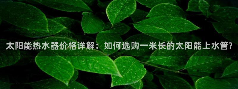 天辰娱乐39596