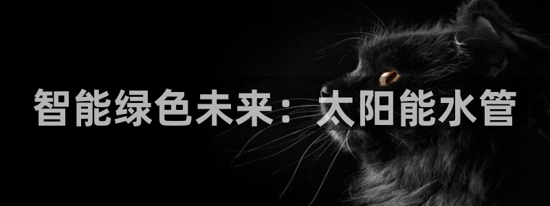 天辰娱乐平台注册