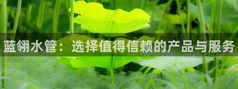 天辰娱乐在线登录注册