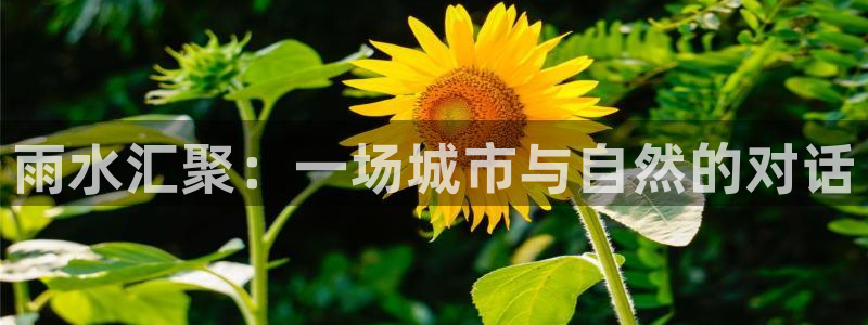 天辰娱乐官方登录入口