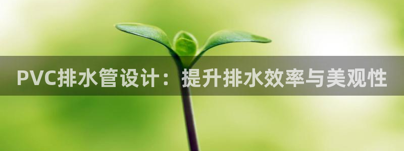 天辰娱乐的网址首页