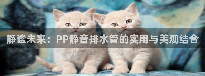 天辰娱乐平台安全吗