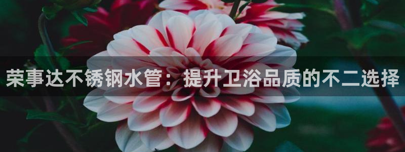 天辰娱乐天辰宝