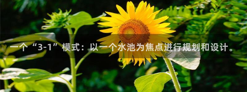 天辰娱乐平台app下载