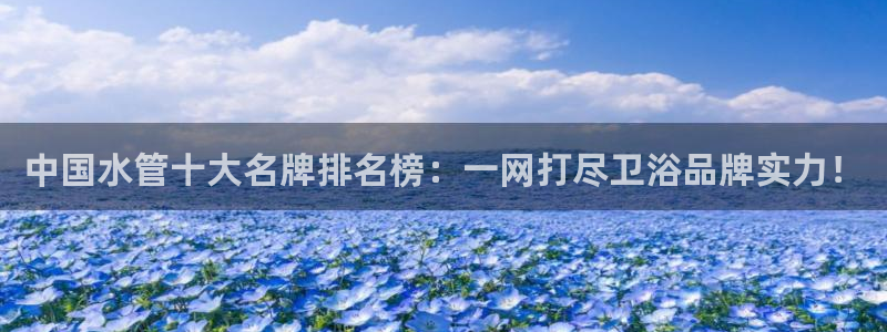 菲律宾天辰娱乐